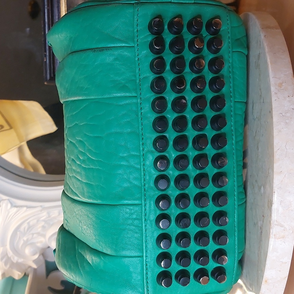 Alexander WANG ROCKIE 💚 rare Embossed Lambskin In Kelly Green Crossbody - Picture 3 of 13